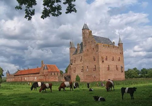 B&B Kasteel Doornenburg