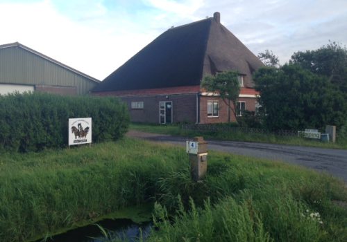 Camping Hoeve Voorwaarts Callantsoog